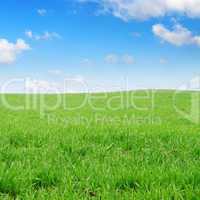 meadow