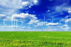 meadow