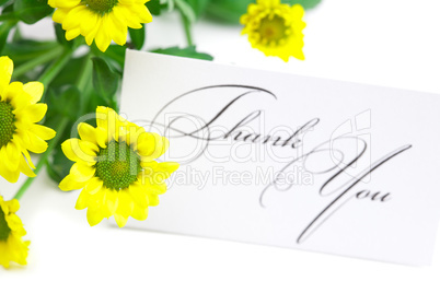 yellow daisy  and a card signed thank you isolated on white