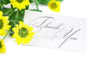 yellow daisy  and a card signed thank you isolated on white