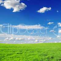 meadow