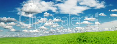 meadow