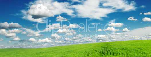 meadow