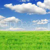 meadow