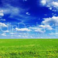 meadow