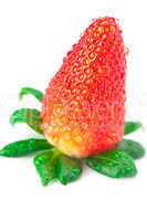 big juicy red ripe strawberries with water drops isolated on whi