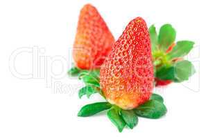 big juicy red ripe strawberries isolated on white