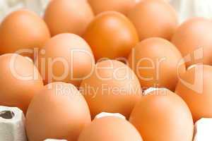 eggs in the package  isolated on a white