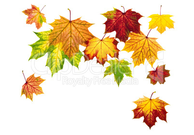 Arrangement aus herunterfallenden Herbstblättern
