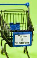 Terms and conditions / terms and conditions