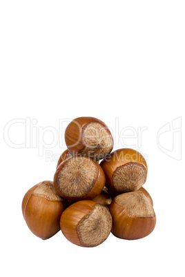 Brown Hazelnuts