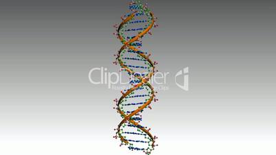 Rotation of 3D DNA.medicine,biology,science,research,medical,helix,biotechnology,molecule,molecular,