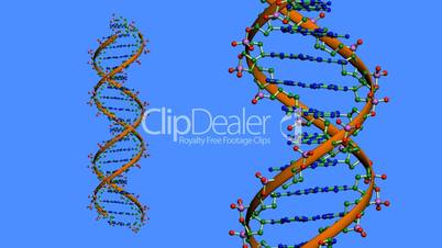 Rotation of 3D DNA.medicine,biology,science,research,medical,helix,biotechnology,molecule,molecular,