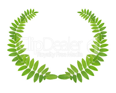 Green Wreath