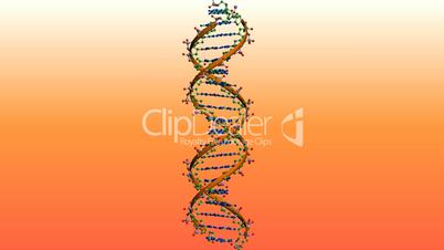 Rotation of 3D DNA.medicine,biology,science,research,medical,helix,biotechnology,molecule,molecular,