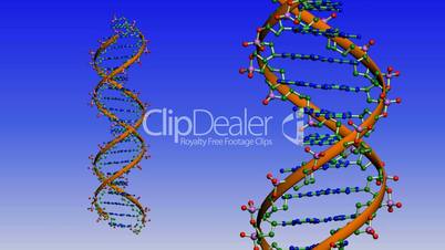 Rotation of 3D DNA.medicine,biology,science,research,medical,helix,biotechnology,molecule,molecular,