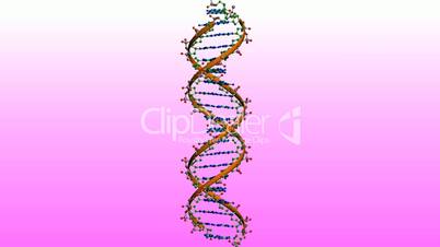 Rotation of 3D DNA.medicine,biology,science,research,medical,helix,biotechnology,molecule,molecular,
