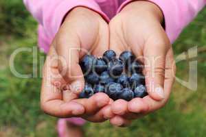 Little Girl Holding Blueberries