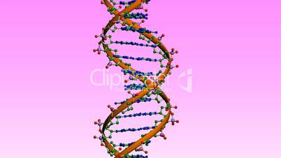 Rotation of 3D DNA.medicine,biology,science,research,medical,helix,biotechnology,molecule,molecular,