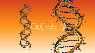 Rotation of 3D DNA.medicine,biology,science,research,medical,helix,biotechnology,molecule,molecular,