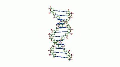 Rotation of 3D DNA.medicine,biology,science,research,medical,helix,biotechnology,molecule,molecular,