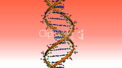 Rotation of 3D DNA.medicine,biology,science,research,medical,helix,biotechnology,molecule,molecular,