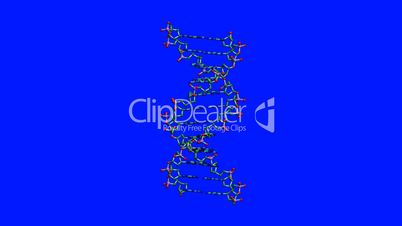 Rotation of 3D DNA.medicine,biology,science,research,medical,helix,biotechnology,molecule,molecular,