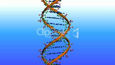 Rotation of 3D DNA.medicine,biology,science,research,medical,helix,biotechnology,molecule,molecular,