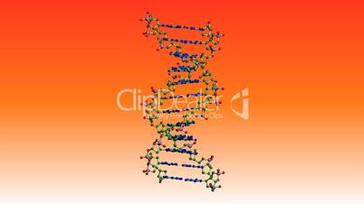 Rotation of 3D DNA.medicine,biology,science,research,medical,helix,biotechnology,molecule,molecular,