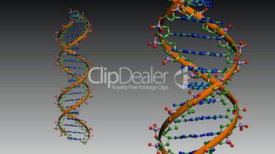 Rotation of 3D DNA.medicine,biology,science,research,medical,helix,biotechnology,molecule,molecular,