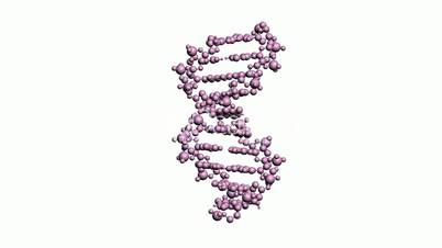 Rotation of 3D DNA.medicine,biology,science,research,medical,helix,biotechnology,molecule,molecular,