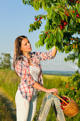 Cherry tree harvest summer woman sunny countryside