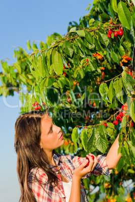 Cherry tree harvest summer beautiful woman sunny