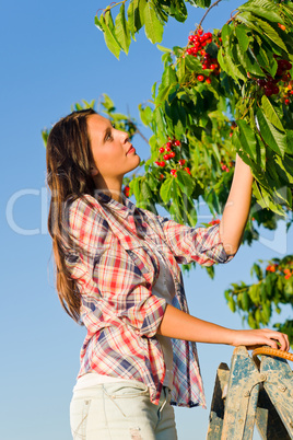 Cherry tree harvest summer beautiful woman sunny