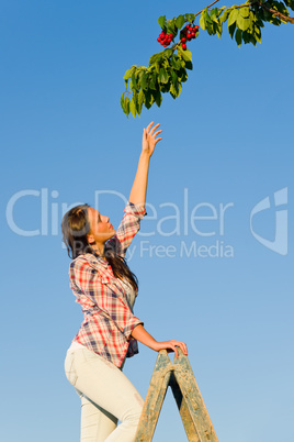Cherry tree woman reaching high branch summer