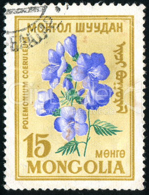 postage stamp