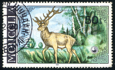 postage stamp