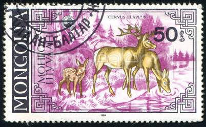 postage stamp