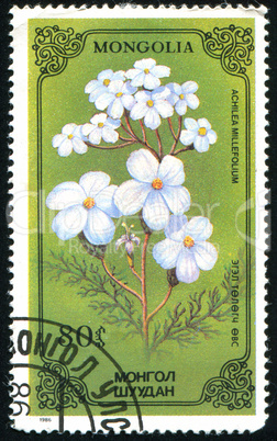 postage stamp