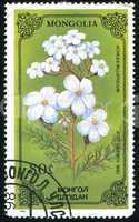 postage stamp