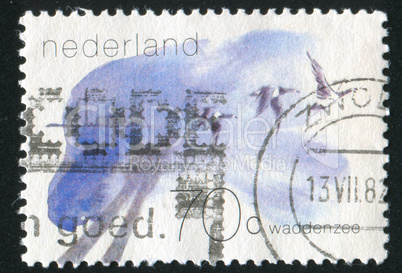 postage stamp