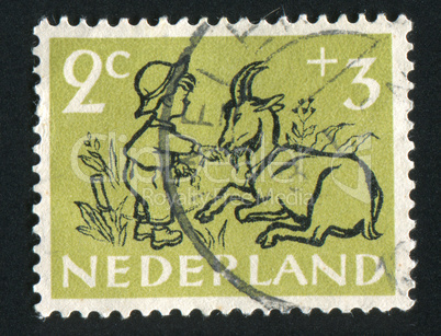 postage stamp