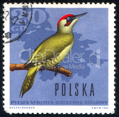 postage stamp