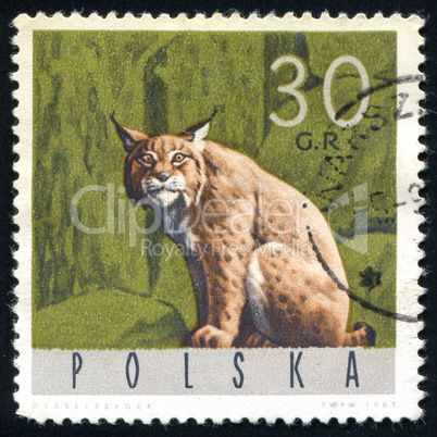 postage stamp