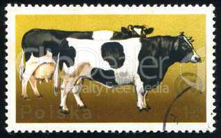 postage stamp