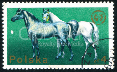 postage stamp