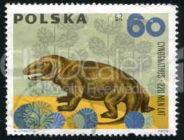 postage stamp