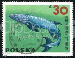 postage stamp