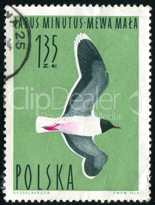 postage stamp