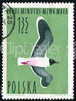 postage stamp